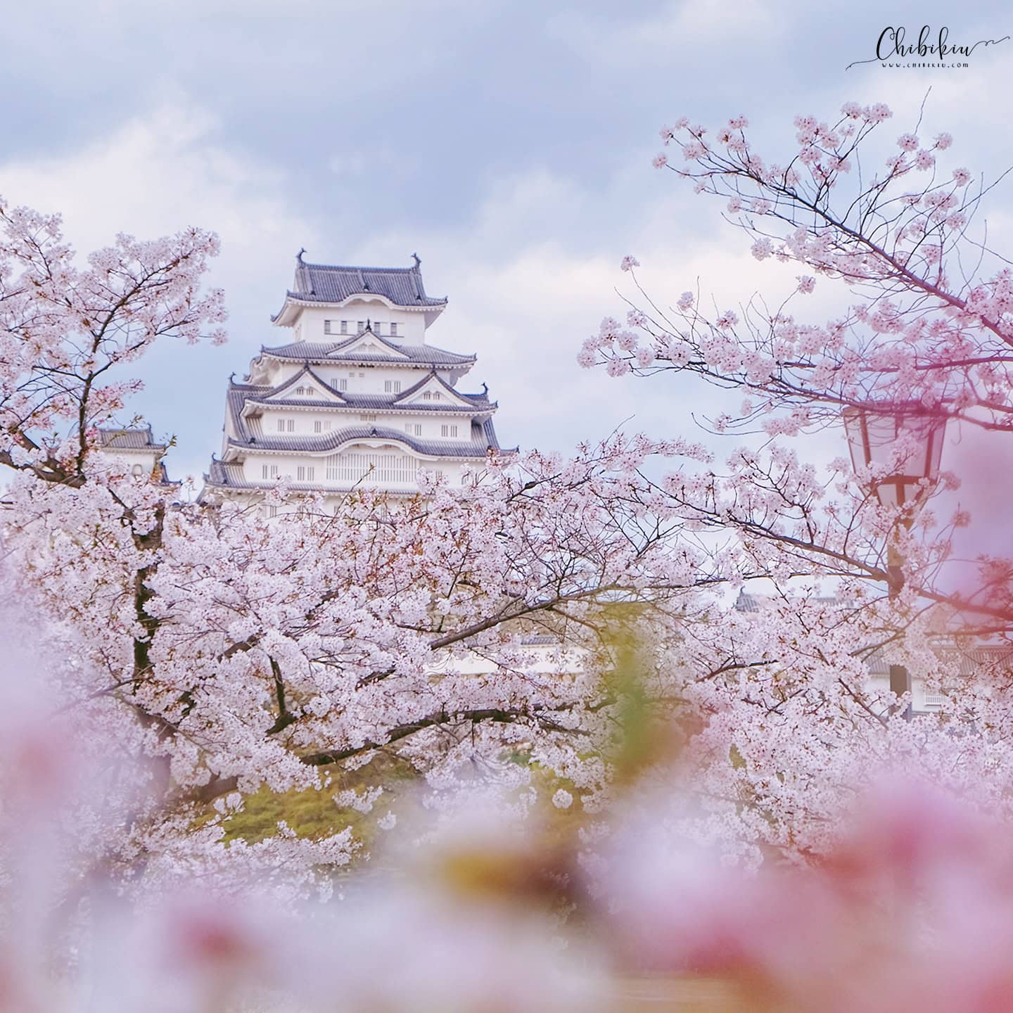 du lịch lâu đài himeji