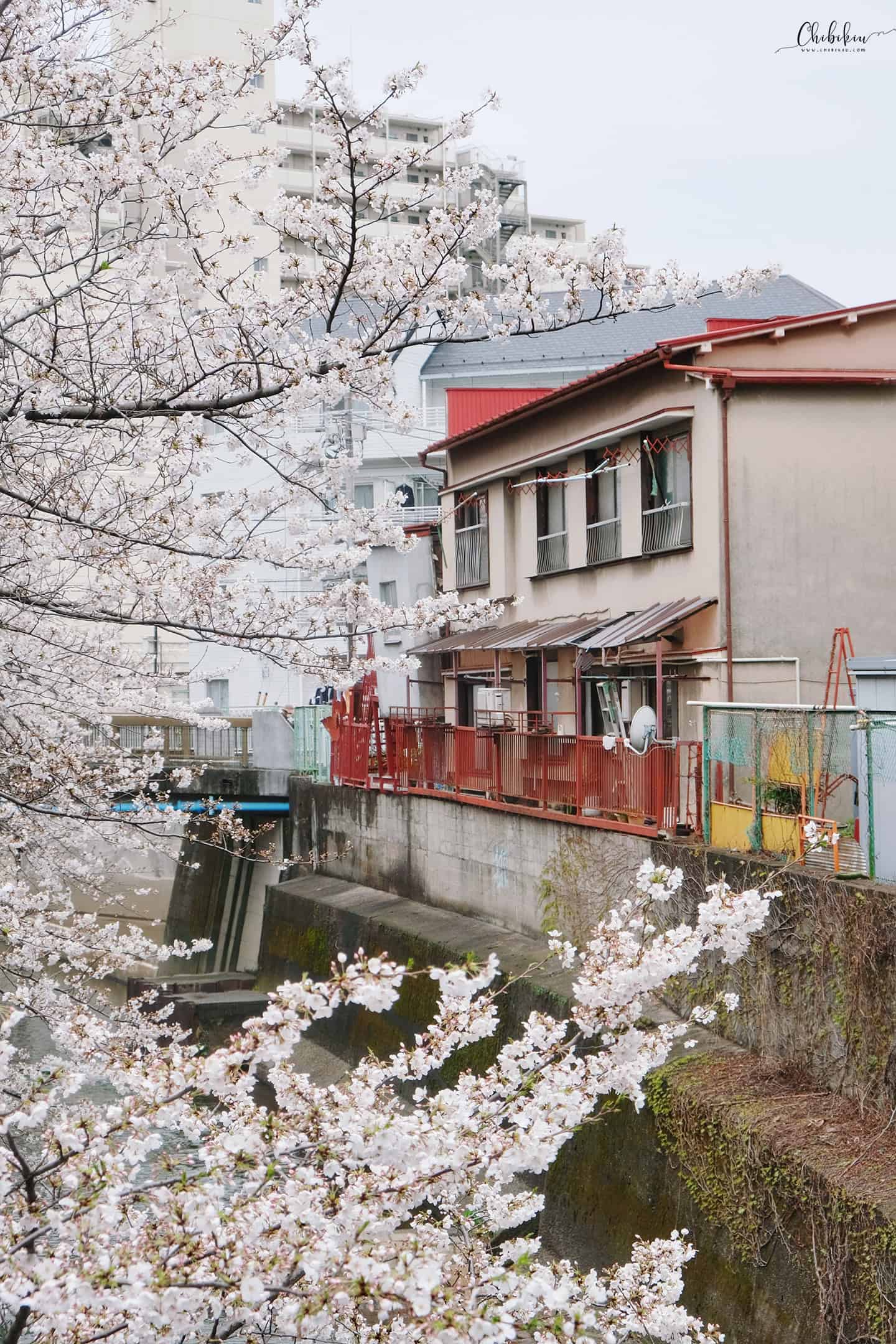 tokyo khu dân cư