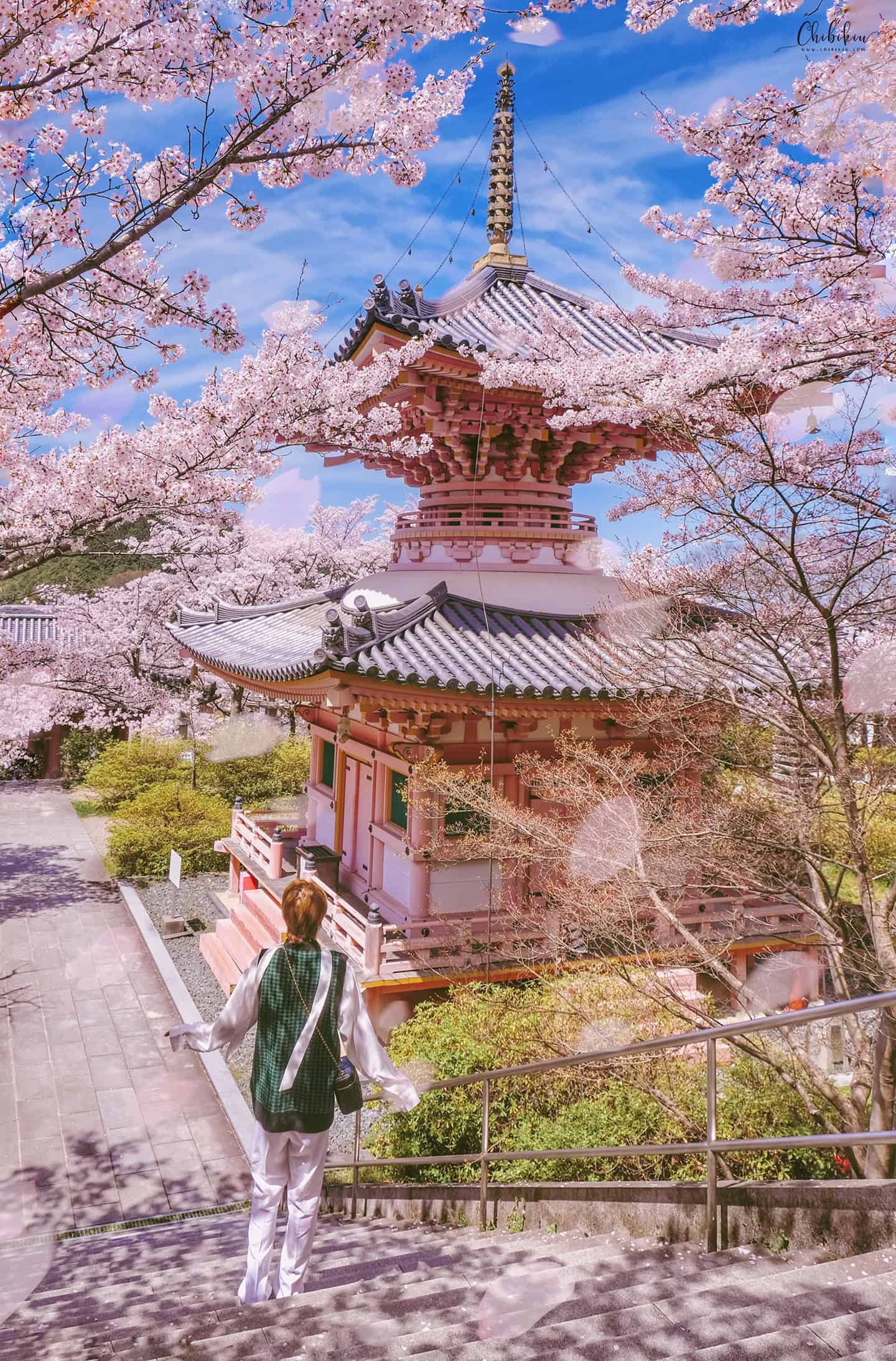 du lịch nhật bản mùa hoa anh đào