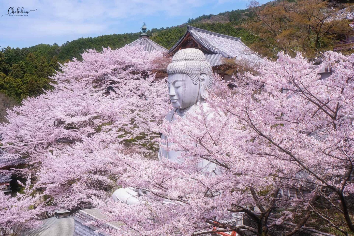 lịch trình du lịch nhật bản