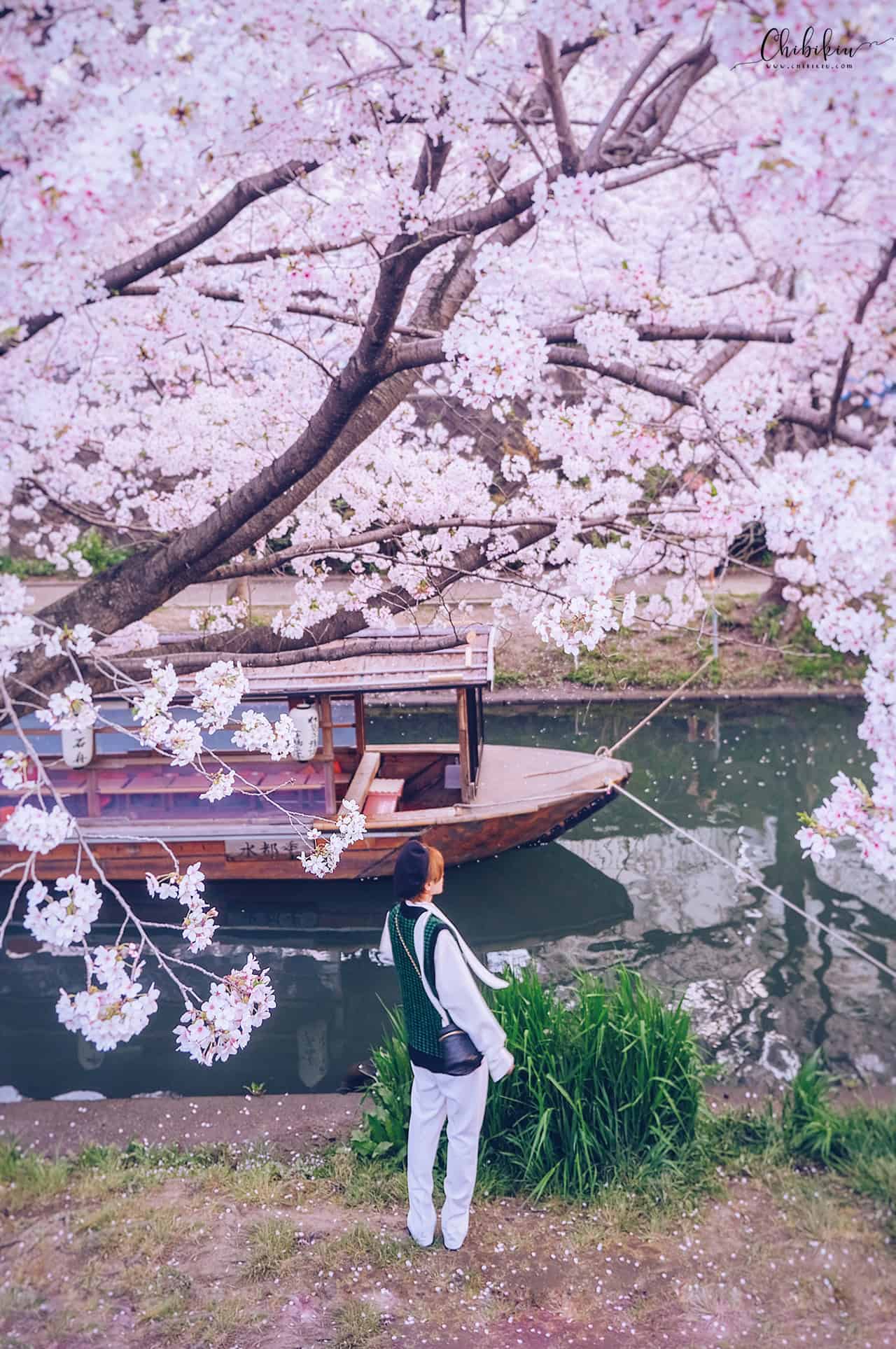 kyoto travel guide