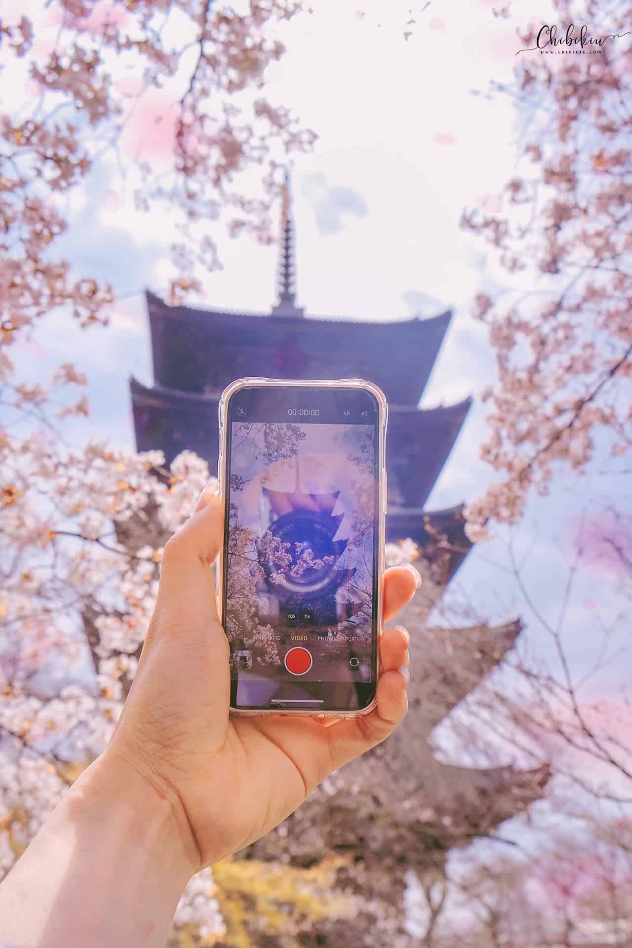 toji temple kyoto travel guide