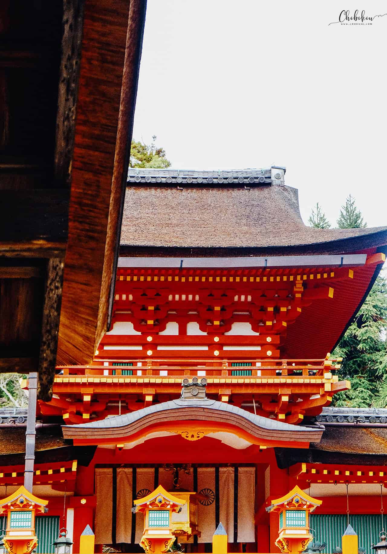 kasuga taisha