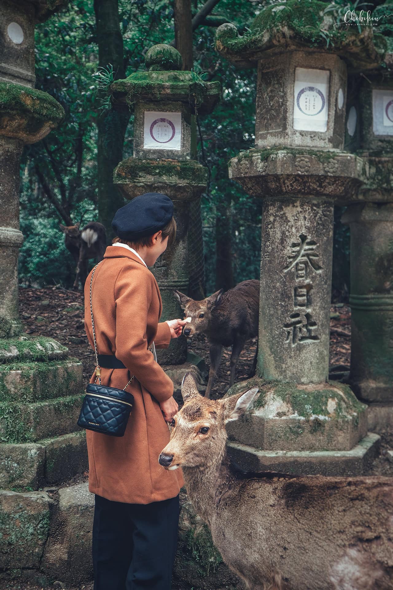 nara nhật bản du lịch