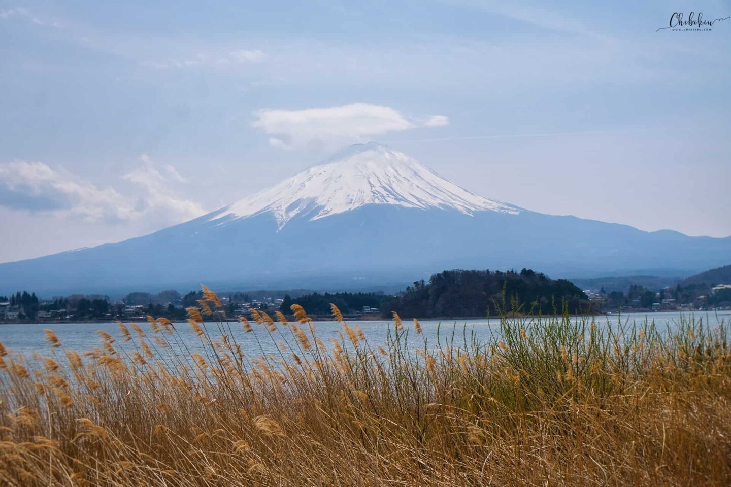 mount fuji