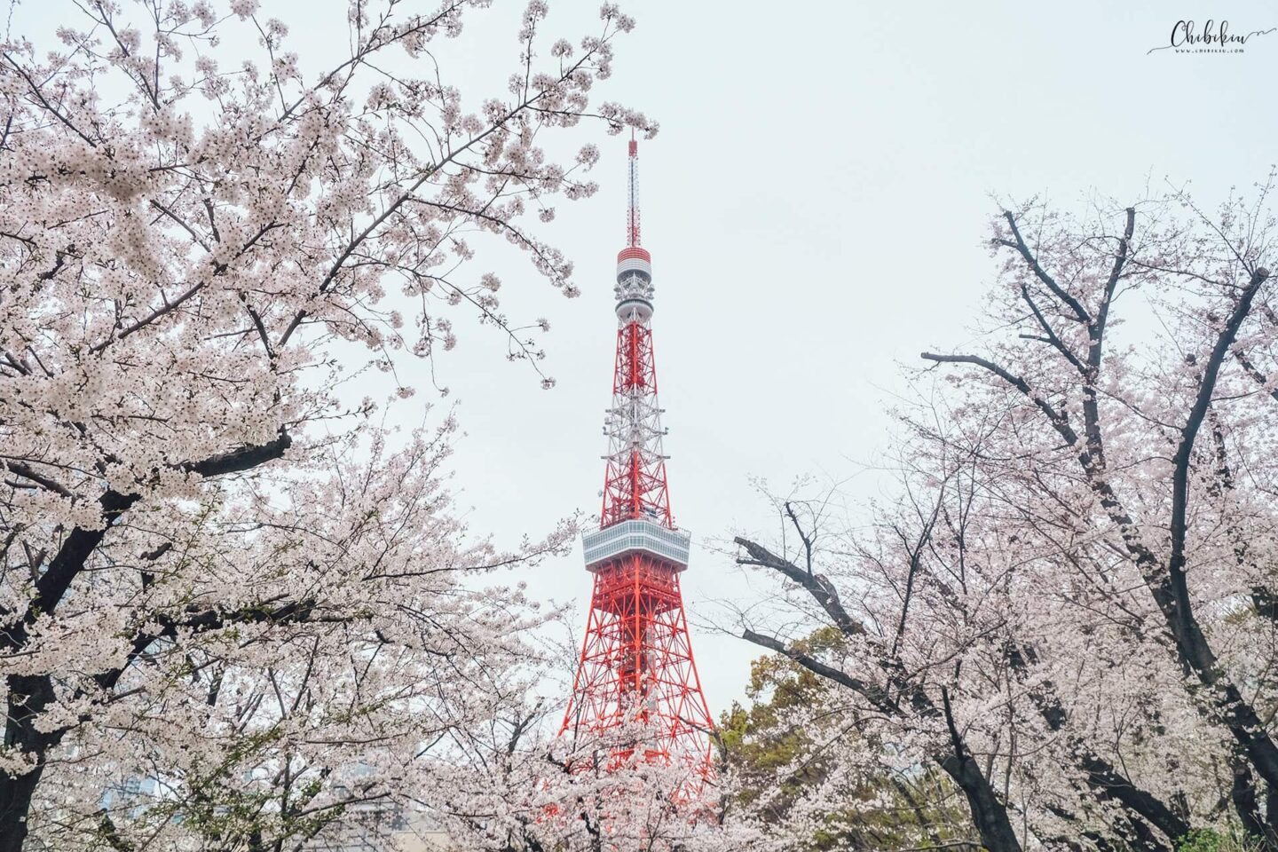 tokyo tower